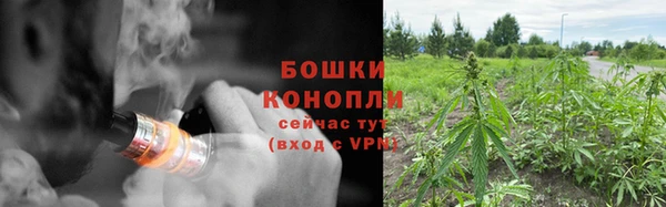 прущий лед Чердынь
