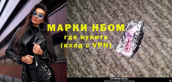 стаф Шадринск