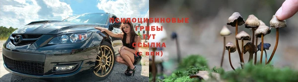 прущий лед Чердынь