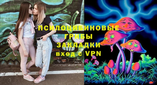 хмурый Чегем